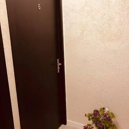 Casa Lorenzo Hotel Eforie Nord